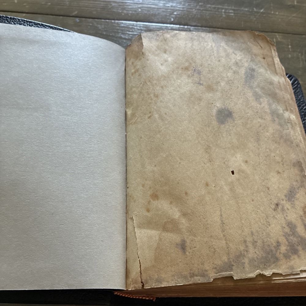 Holy Bible Containing The Old And New Testaments Translated From Original Tongue - Picture 5 of 16